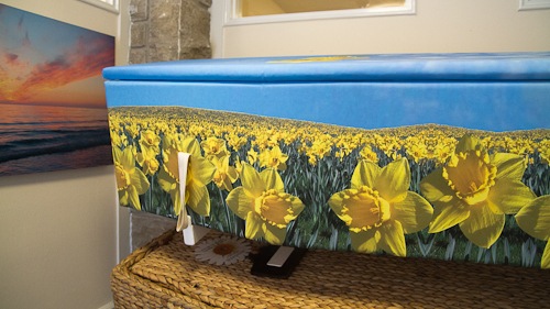 douch-funeral-directors-daffodil-coffin